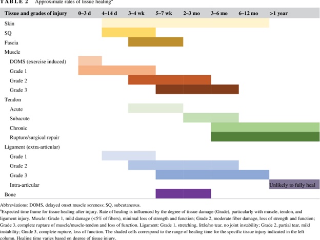 graph of different healing time frames